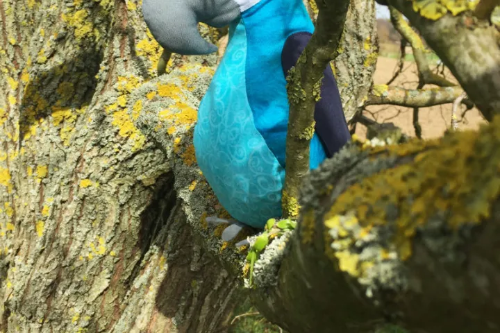Enrico-im-Baum.jpg
